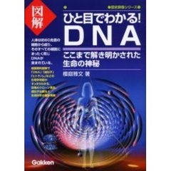 図解ひと目でわかる！ＤＮＡ　ここまで解き明かされた生命の神秘