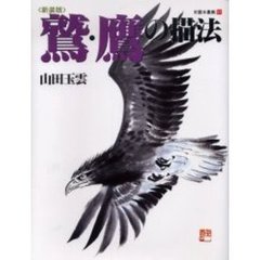 玉雲水墨画　第１１巻　新装版　鷲・鷹の描法