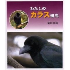 わたしのカラス研究