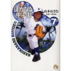 遥かなる甲子園　７