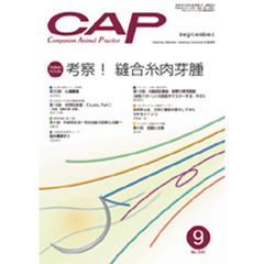 ＣＡＰ　２４３