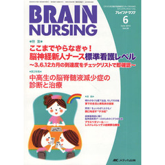 ブレインナーシング　第２６巻６号（２０１０－６）　ここまでやらなきゃ！脳神経新人ナース標準看護レベル　３，６，１２カ月の到達度をチェックリストで即確認