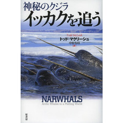 神秘のクジライッカクを追う