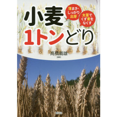 小麦１トンどり　薄まき・しっかり出芽太茎でくず麦をなくす