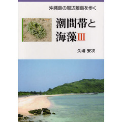 潮間帯と海藻　　　３　沖縄島の周辺離島を