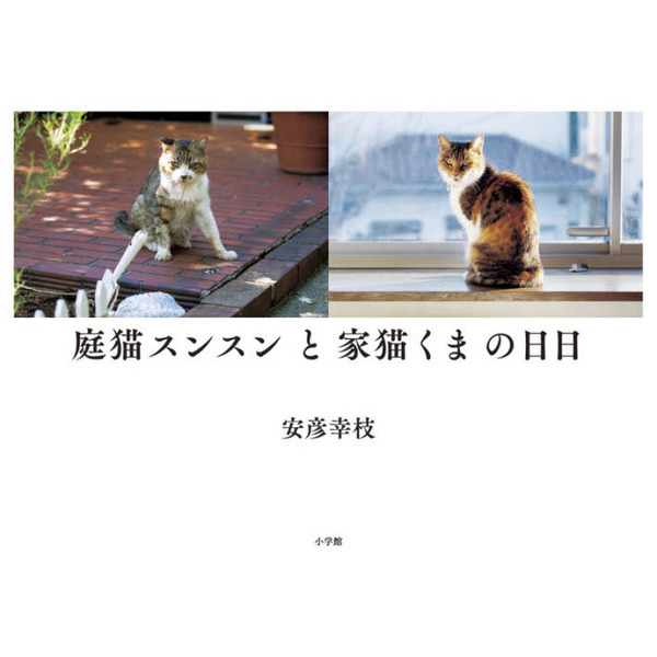 庭猫スンスンと家猫くまの日日 通販｜セブンネットショッピング