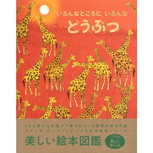 いろんなところにいろんなどうぶつ 通販｜セブンネットショッピング