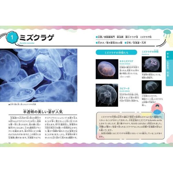 みんなが知りたい！クラゲのすべて きれいな姿や色の魅力からゆらめく