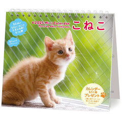 ’２５　ミニカレンダーこねこ卓上
