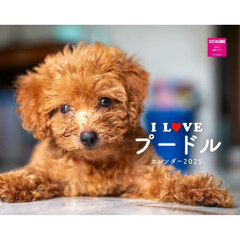’２５　Ｉ　ＬＯＶＥプードルカレンダー