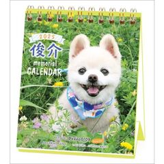 俊介 週めくりミニ 2025年カレンダー