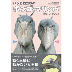 ハシビロコウのボンゴとマリンバ　ＰＨＯＴＯ　ＢＯＯＫ