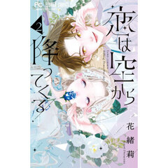 恋は空から降ってくる　２
