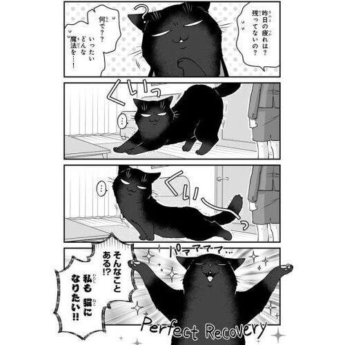 デキる猫は今日も憂鬱 12 通販｜セブンネットショッピング