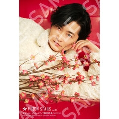 TVガイドVOICE STARS vol.37【セブンネット限定特典：下野紘 ポストカード 1枚付き】