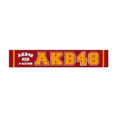 AKB48　マフラータオル