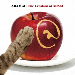 ADAM at／ベストアルバム 『The Creation of ADAM』（2CD）