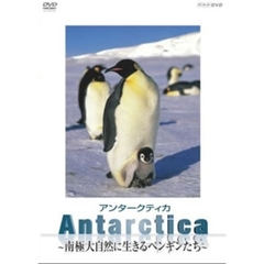 アンタークティカ Antarctica ～南極大自然に生きるペンギンたち～（ＤＶＤ）