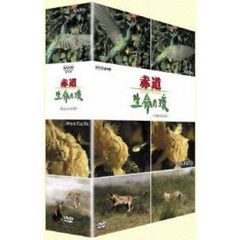 赤道 生命の環 DVD-BOX II（ＤＶＤ）