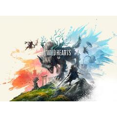 Nintendo Switch 2 WILD HEARTS S