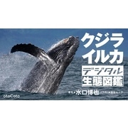 クジラ・イルカ　デジタル生態図鑑