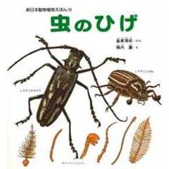 虫のひげ