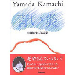 青い炎　山田かまち作品集