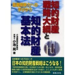 知的財産戦略大綱と知的財産基本法