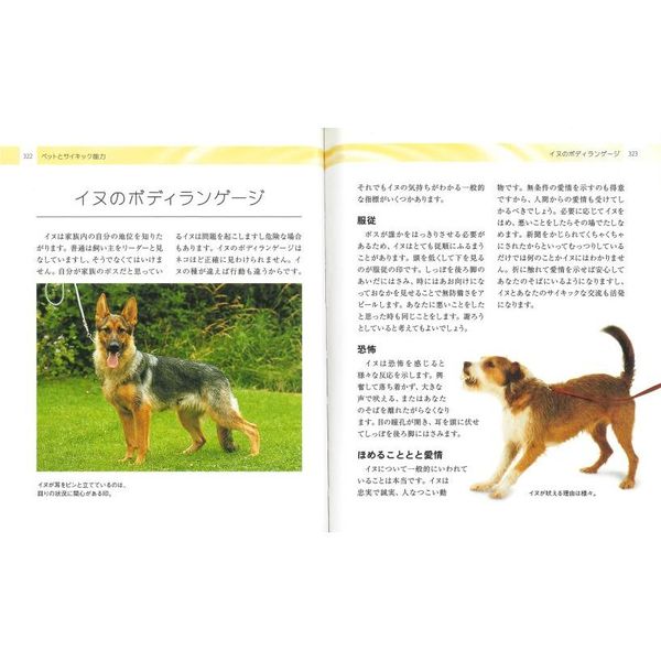 サイキックバイブル 直感力と霊感を開発するための決定版ガイド 通販｜セブンネットショッピング