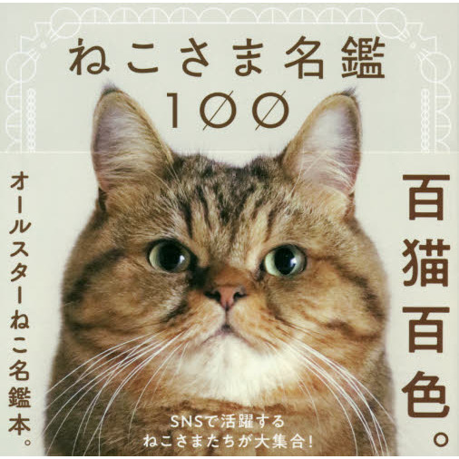 ねこさま名鑑100
