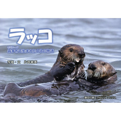 ラッコ　霧多布で生まれたＡ子の物語