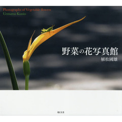 野菜の花写真館