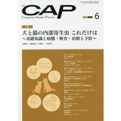 ＣＡＰ　３８４