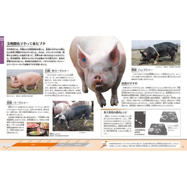 昭和4年発行　日本動物図鑑 日本動物図鑑』(著作代表 内田清之助 北隆館) - 国立工芸館