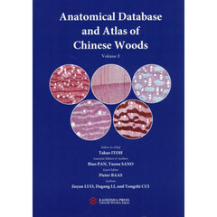 中国産木材識別データベース　英文版　１
