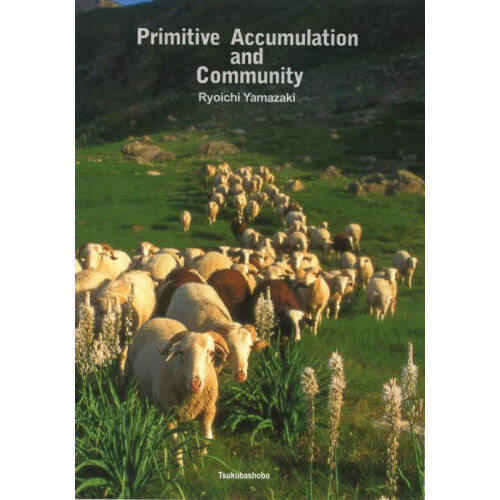 ֥ͥåȥåԥ󥰤㤨֣У塡䡡ãפβǤʤ3,850ߤˤʤޤ