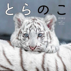 とらのこ　「ほぼねこ」なホワイトタイガーの赤ちゃん写真集