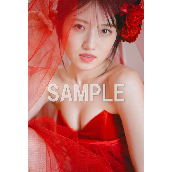激レア 清里 萌木の村 イヤープレート1995 大倉陶園製 新品価格
