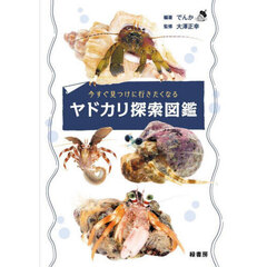 今すぐ見つけに行きたくなるヤドカリ探索図鑑