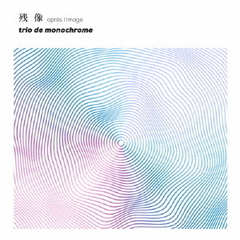 残像　?apres　l’image?