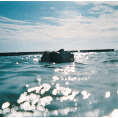 あきらめることをあきらめたんだ