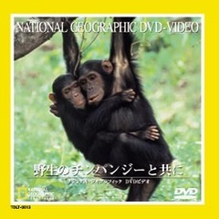 ナショナル・ジオグラフィック 野生のチンパンジーと共に（ＤＶＤ）