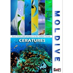 MOLDIVE THE CREATURES インド洋の真珠 モルジブ／クリーチャーズ（ＤＶＤ）