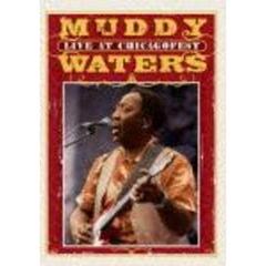 ライヴ・アット・シカゴフェスタ（ＤＶＤ）