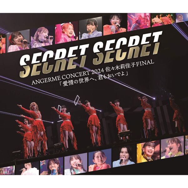 アンジュルムCONCERT 2024 SECRET SECRET Blu-ray - ミュージック
