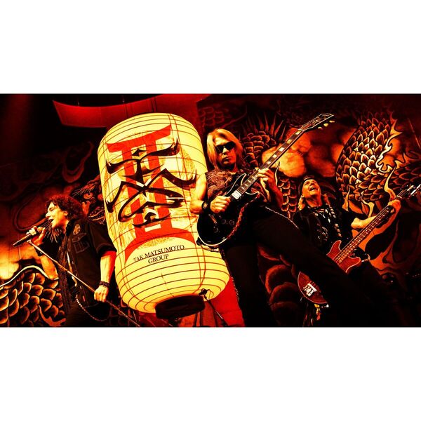 B'z 松本孝弘 稲葉浩志 TMG DVD Blu-ray 25タイトルセット B'zの