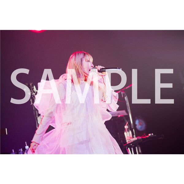 家入レオ／My name ~TOUR 2024~（通常盤／DVD）（セブンネット
