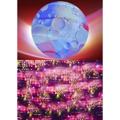 THE YELLOW MONKEY／THE YELLOW MONKEY TOUR2024/25 Sparkleの惑星X(-BLOCK3-)（セブンネット限定特典：ビニールバッグ）（ＤＶＤ）