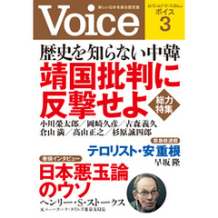 Voice 平成26年3月号