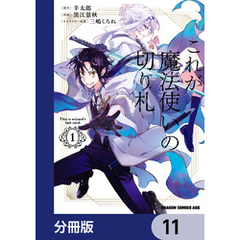 これが魔法使いの切り札【分冊版】　11